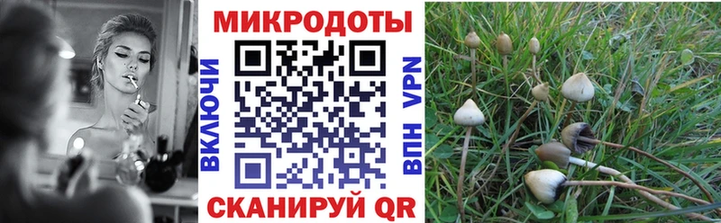 Галлюциногенные грибы GOLDEN TEACHER  shop наркотические препараты  Алагир 